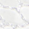 Resurge - Image 8