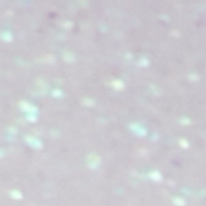 Pepela - Image 8