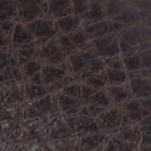 Zappa - Image 8