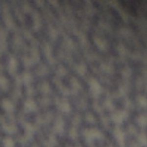 Uliana - Image 8