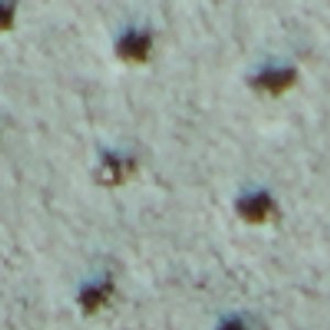 Journey - Image 9