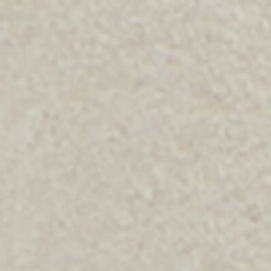 Andree - Image 9