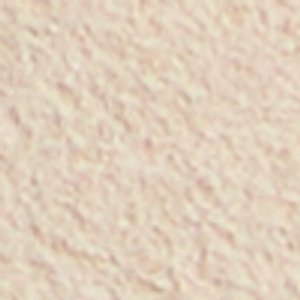 Seashella - Image 8