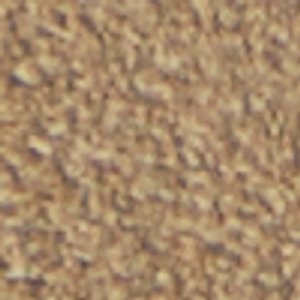 Alessio - Image 10
