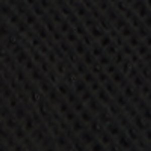 Prionotes - Image 3