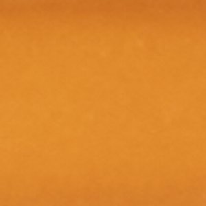 Kasienx - Image 4