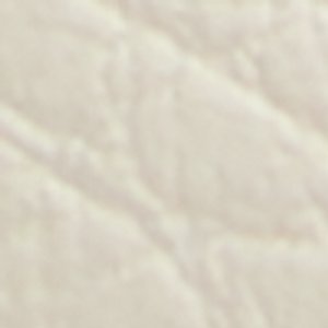 Wildwave - Image 9