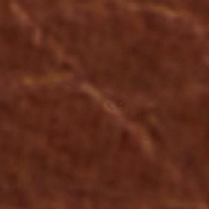 Wildwave - Image 10
