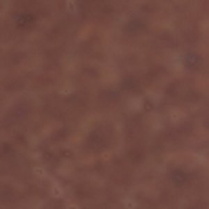 Wildwoodd - Image 9