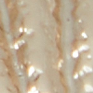 Sirenne - Image 3