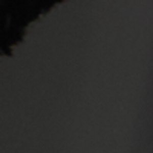 Elbaegynx - Image 4