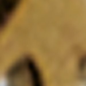 Peacelove - Image 2