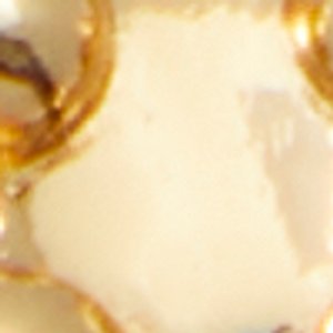 Teddyy - Image 3