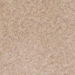 Stazo - Image 9