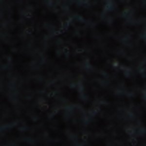 Clubmtl - Image 9