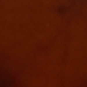 Talondrax - Image 4