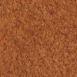 Cypress - Image 9