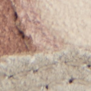 Curtis - Image 9