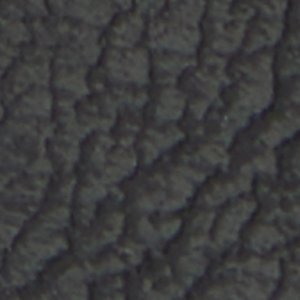 Toddy - Image 9