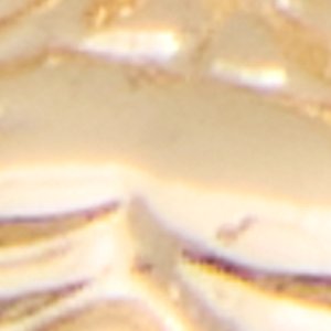 Chances - Image 3