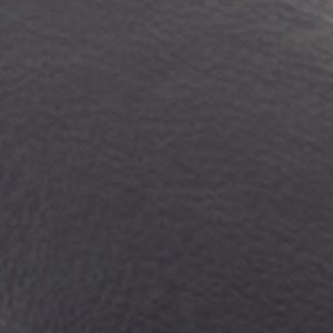 Dax - Image 8