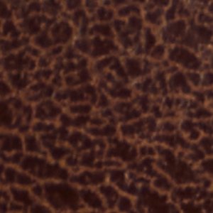 Elyne - Image 7