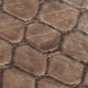 Iliria - Image 8