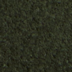 Melvillee - Image 9