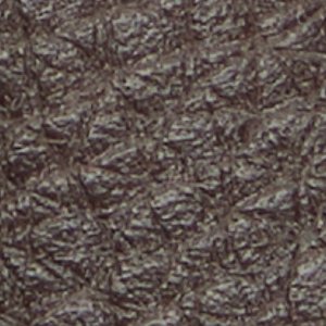 Melvillee - Image 9