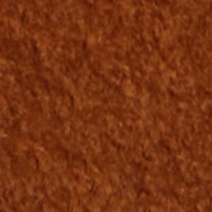 Tayloria - Image 8