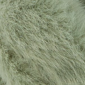B.rex - Image 3
