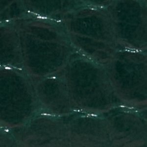 Mereclyaa - Image 5