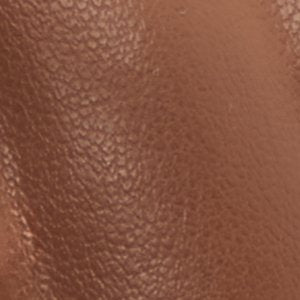 Xara - Image 7
