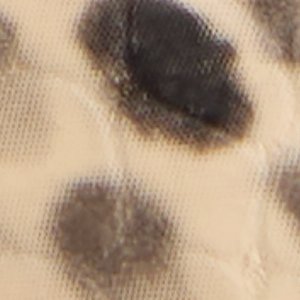 Adrelya - Image 8