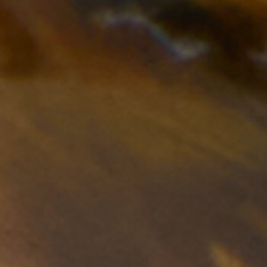 Zaraya - Image 2