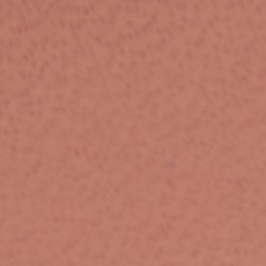 Leandra - Image 7