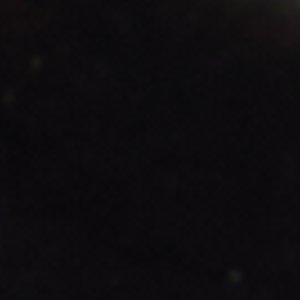 Timothee - Image 3