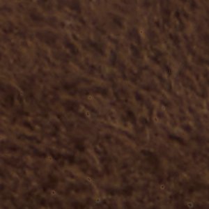 Skipp - Image 7