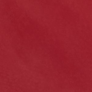 Amilie - Image 7