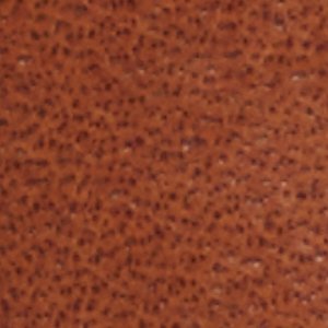 Ricio - Image 9