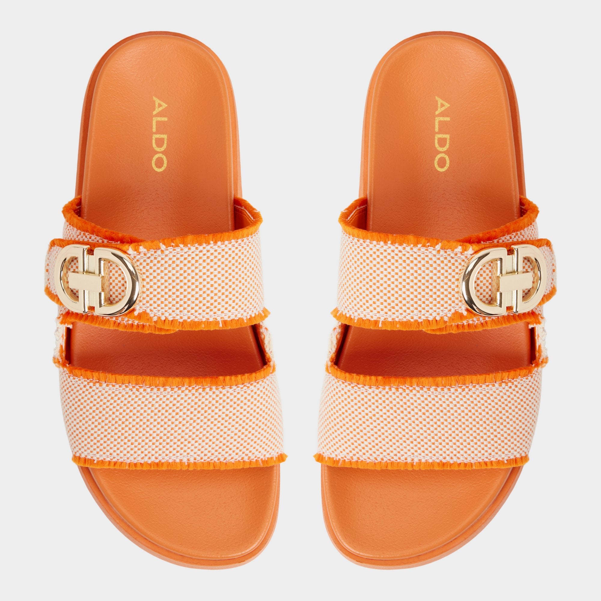 Daisymae - Image 6