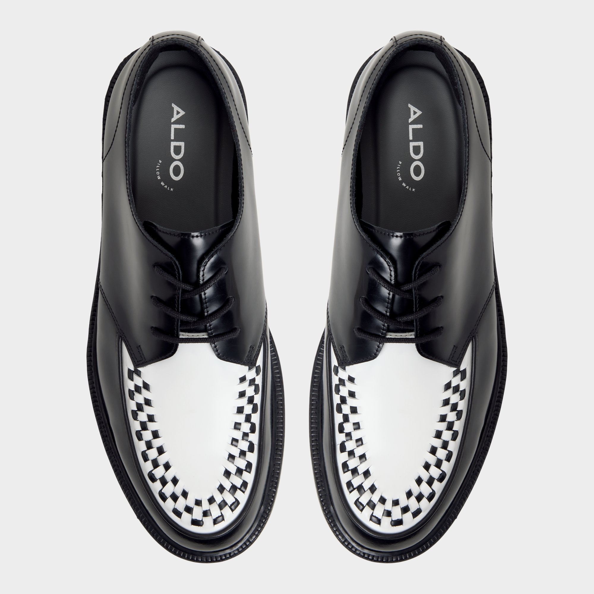 Rocco - Image 6
